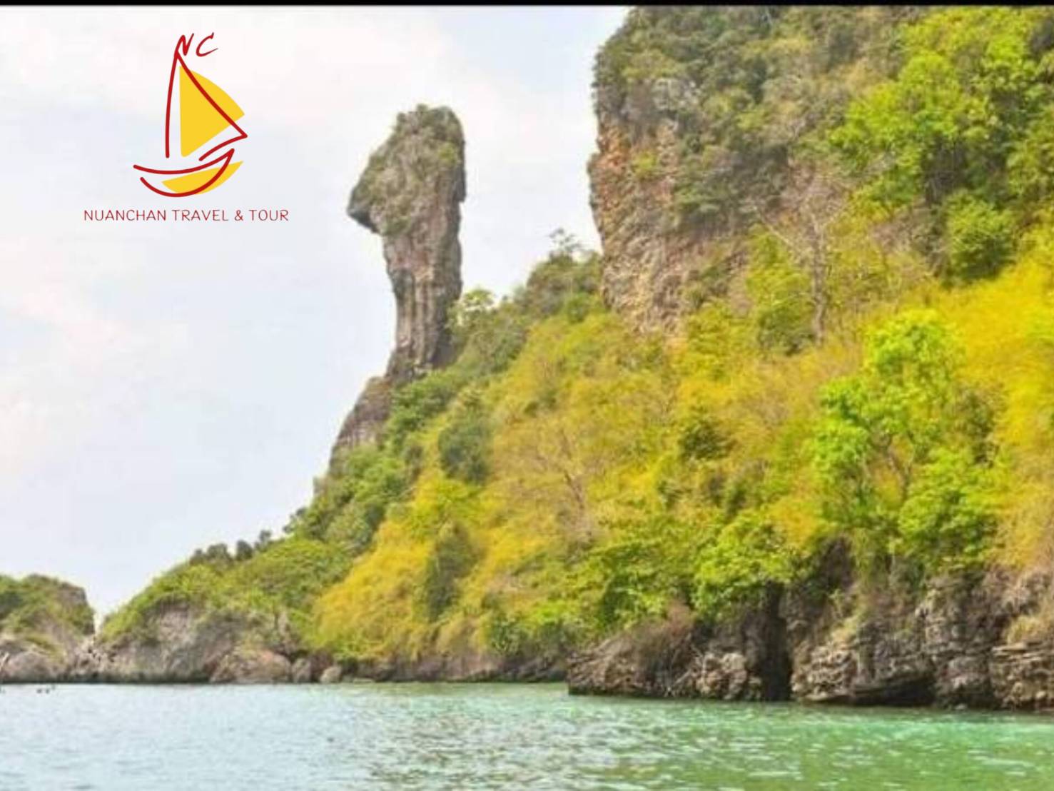 chicken island