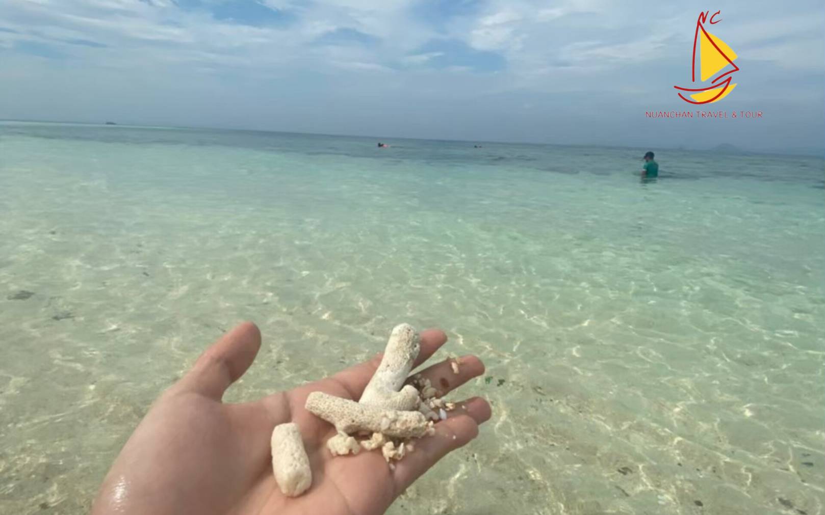 Phi Phi Island 